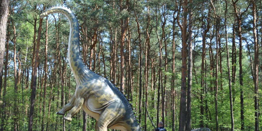 Dinozaur, fot. LPKiW